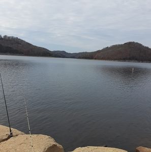 Meet your Posher, Billy